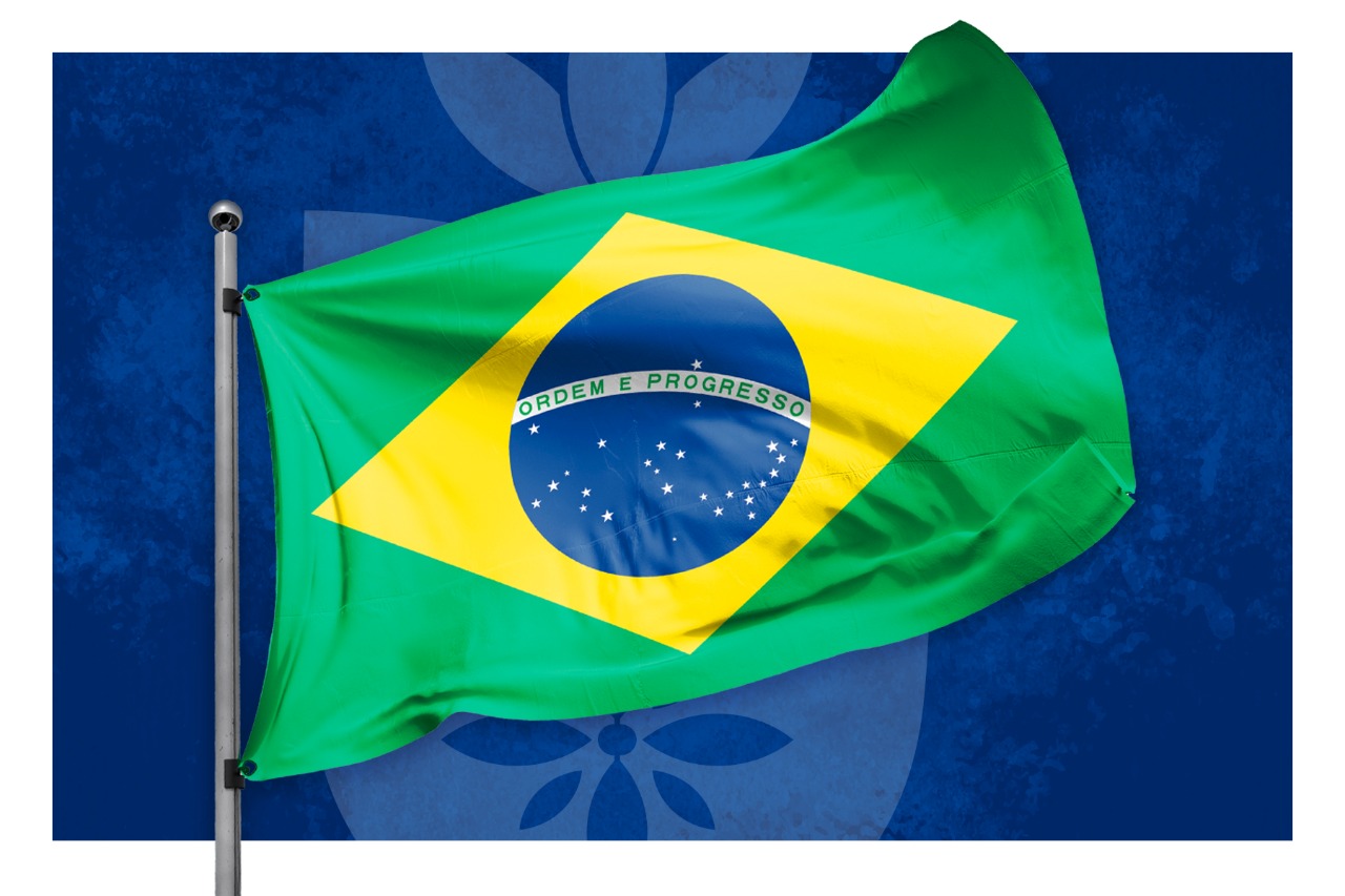 A Bandeira do Brasil constitui a bandeira nacional da República