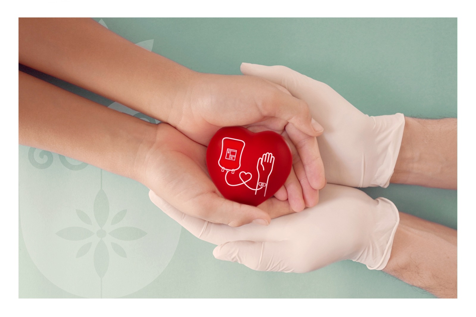 14 de junho é Dia Mundial do Doador de Sangue. As datas comemorativas de  hoje, quarta